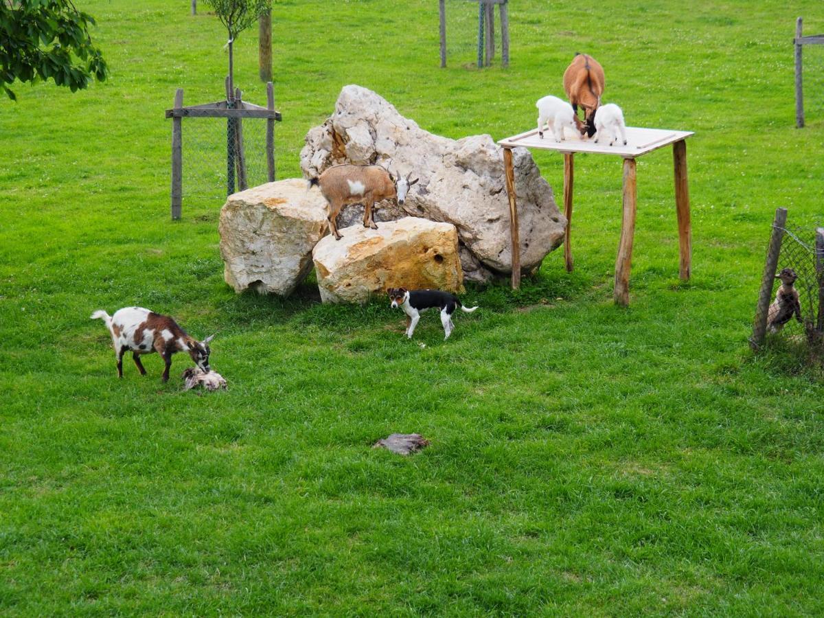 Chez Redamo Daire Vendlincourt Dış mekan fotoğraf